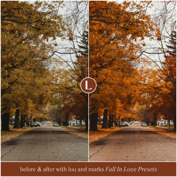 Fall In Love Preset Collection By Primosy - Image 15
