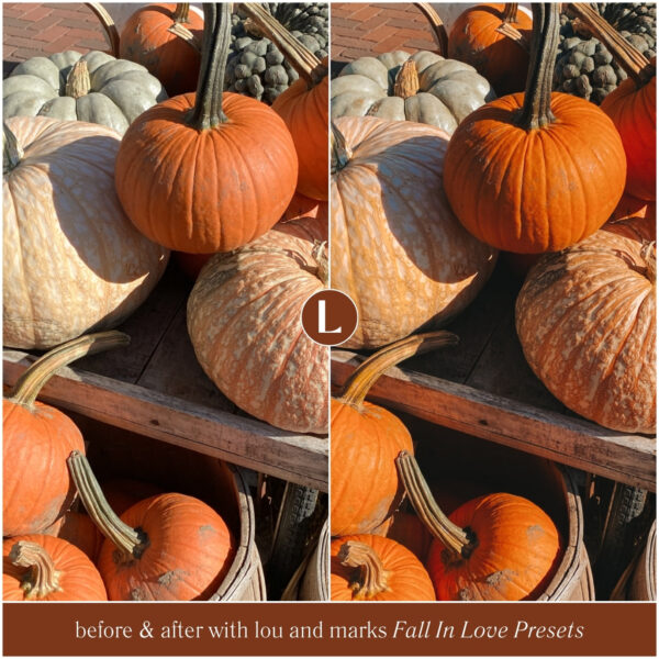 Fall In Love Preset Collection By Primosy - Image 12