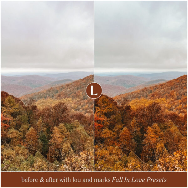 Fall In Love Preset Collection By Primosy - Image 16