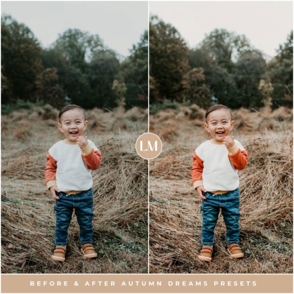 Autumn Dreams Preset Collection By Primosy - Image 11