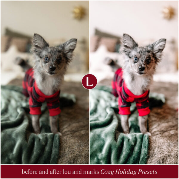 Cozy Holiday Christmas Preset Collection By Primosy - Image 18