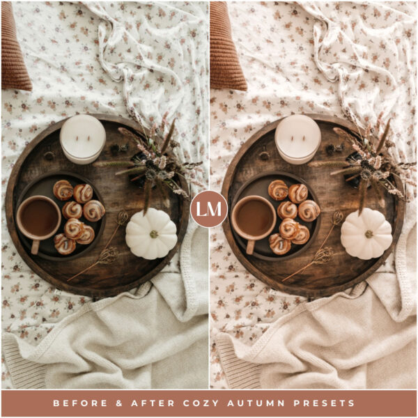 Cozy Autumn Preset Collection By Primosy - Image 7