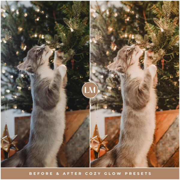 Cozy Glow Preset Collection By Primosy - Image 10
