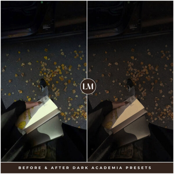 Dark Academia Preset Collection By Primosy - Image 5