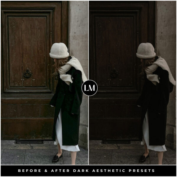 Dark Aesthetic Preset Collection By Primosy - Image 13