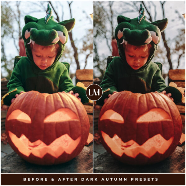 Dark Autumn Preset Collection By Primosy - Image 11