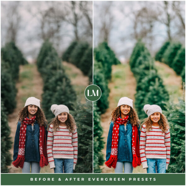 Evergreen Preset Collection By Primosy - Image 8