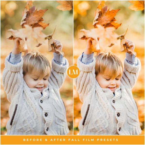 Fall Film Preset Collection By Primosy - Image 10