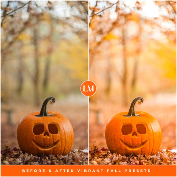 Vibrant Fall Preset Collection By Primosy - Image 9