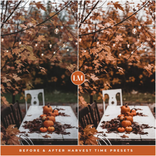 Harvest Time Preset Collection By Primosy - Image 8