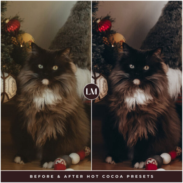 Hot Cocoa Preset Collection By Primosy - Image 12