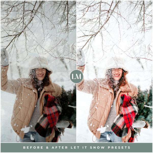 Let It Snow Preset Collection By Primosy - Image 6
