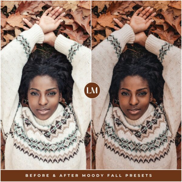 Moody Fall Preset Collection By Primosy - Image 11