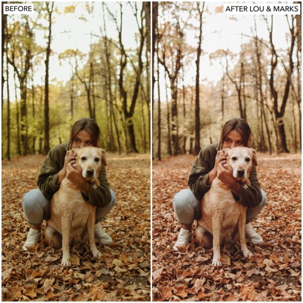 Apple Pie Preset Collection By Primosy - Image 4