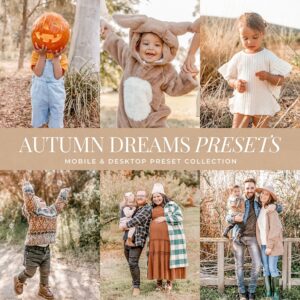 Autumn Dreams Preset Collection By Primosy