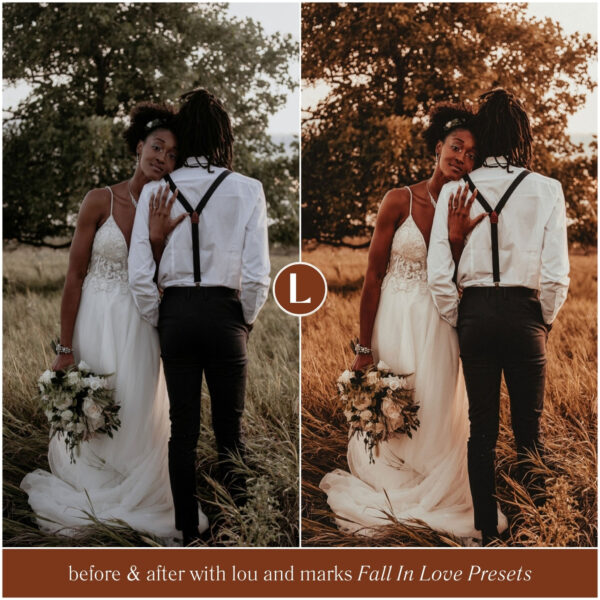 Fall In Love Preset Collection By Primosy - Image 11