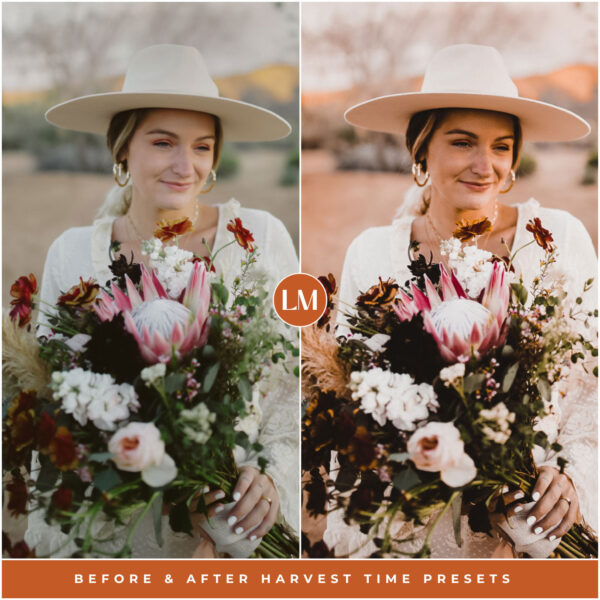 Harvest Time Preset Collection By Primosy - Image 9