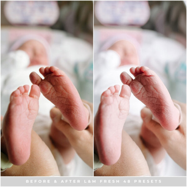 Fresh 48 Preset Collection By Primosy - Image 7
