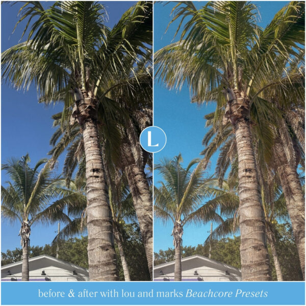 Beachcore Preset Collection By Primosy - Image 15