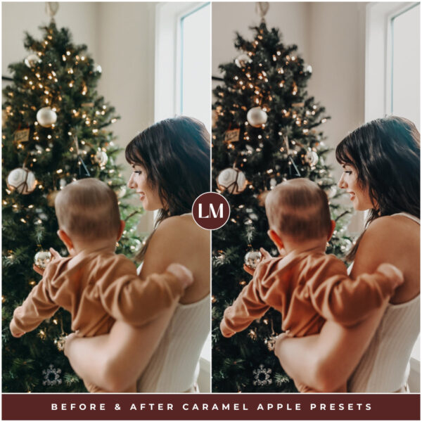 Winter Preset Bundle By Primosy - Image 15