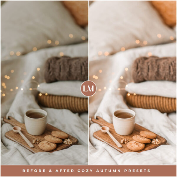 Cozy Autumn Preset Collection By Primosy - Image 9