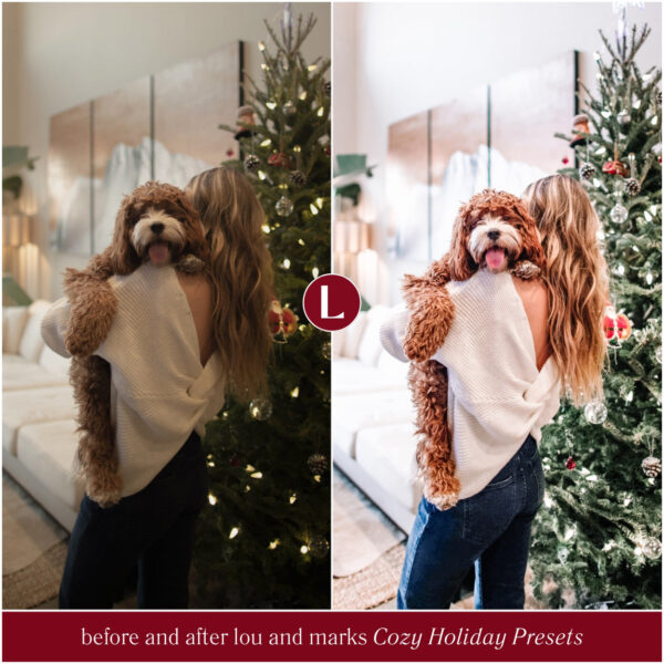 Cozy Holiday Christmas Preset Collection By Primosy - Image 2