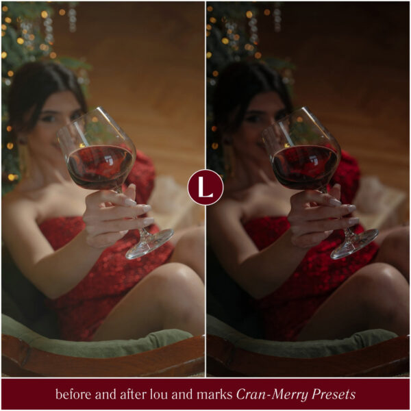 Cran-Merry Preset Collection By Primosy - Image 8