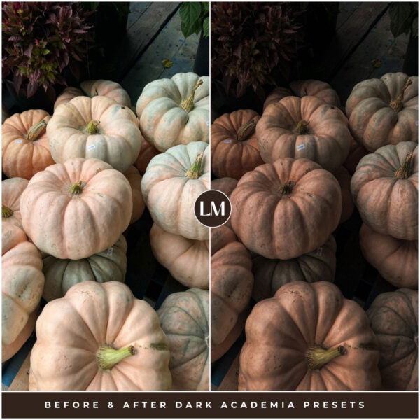 Dark Academia Preset Collection By Primosy - Image 6