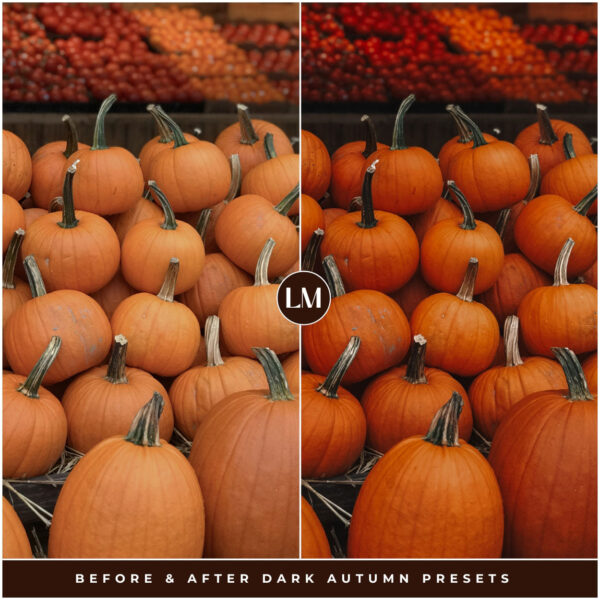 Dark Autumn Preset Collection By Primosy - Image 14