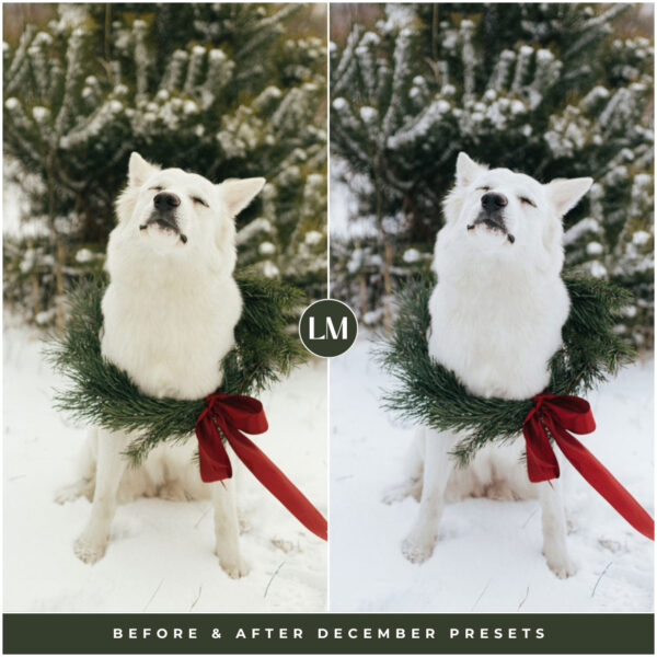 December Preset Collection By Primosy - Image 5