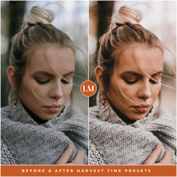 Harvest Time Preset Collection By Primosy - Image 2
