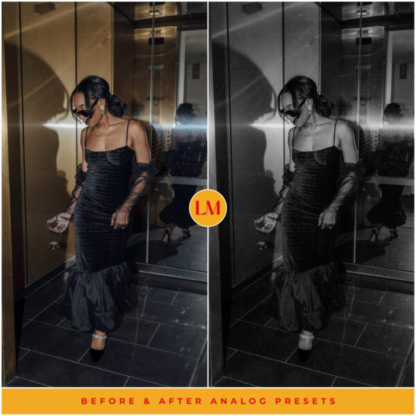 Analog Film Preset Collection By Primosy - Image 9