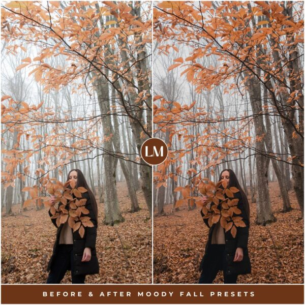 Moody Fall Preset Collection By Primosy - Image 9
