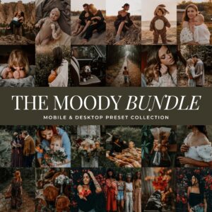 Moody Preset Bundle By Primosy