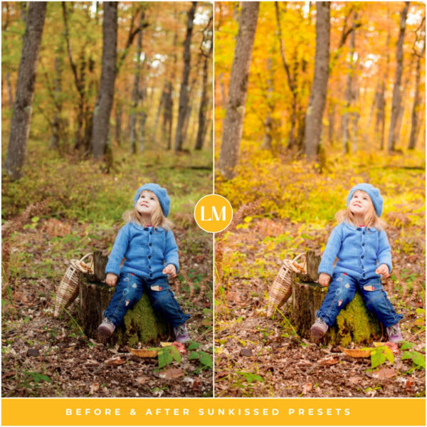 Sunkissed Preset Collection By Primosy - Image 7