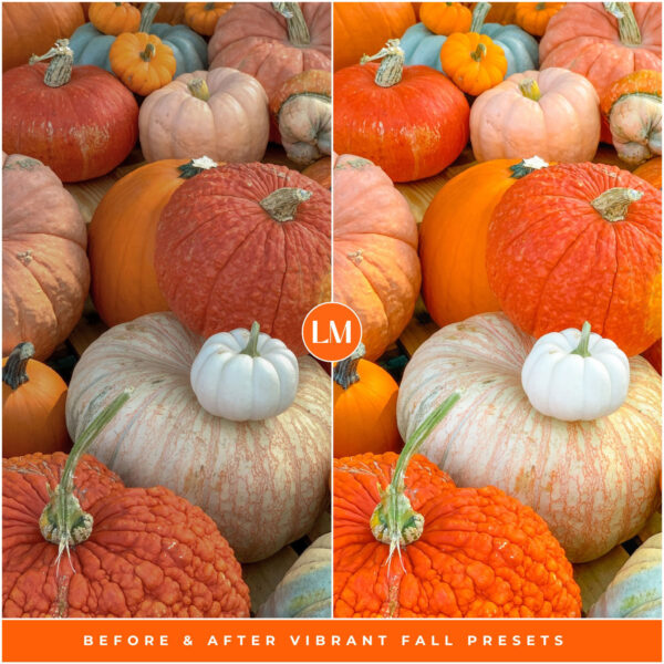 Vibrant Fall Preset Collection By Primosy - Image 4