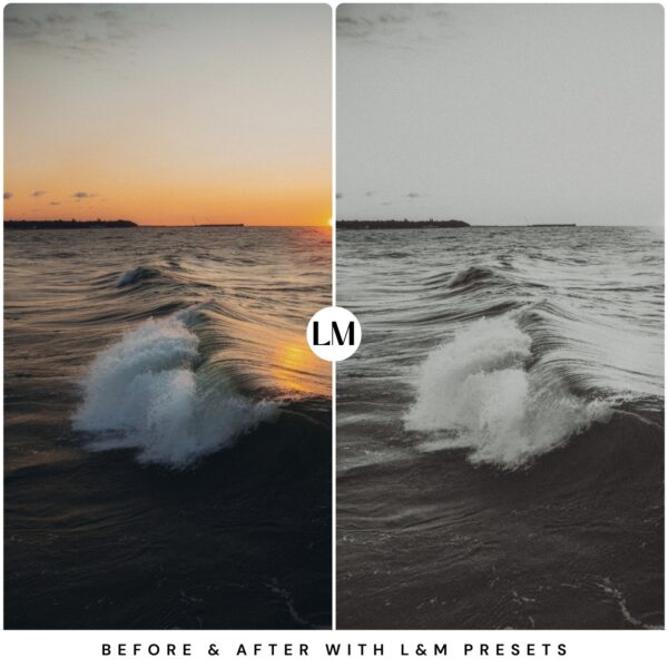 Vintage B&W Preset Collection By Primosy - Image 13