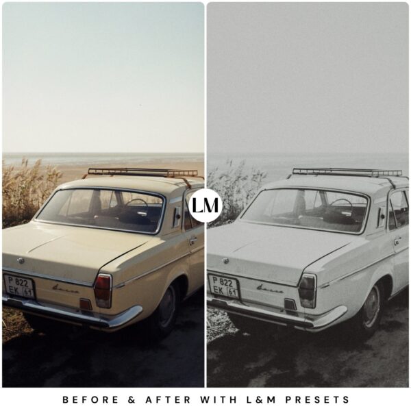 Vintage B&W Preset Collection By Primosy - Image 11