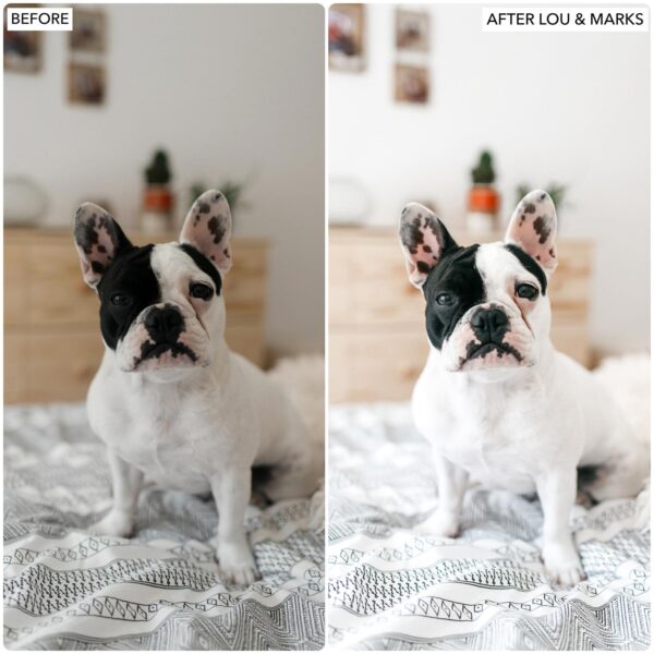 Light & Airy Preset Bundle By Primosy - Image 25