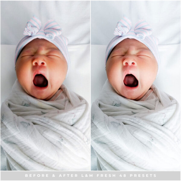 Fresh 48 Preset Collection By Primosy - Image 10