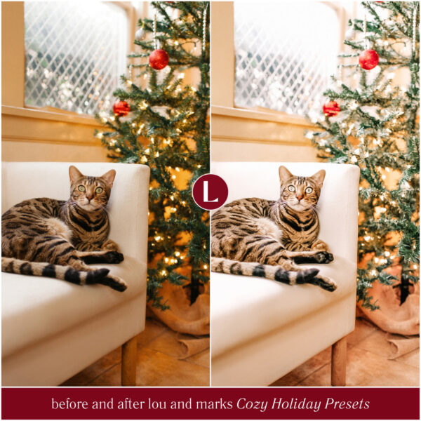 Cozy Holiday Christmas Preset Collection By Primosy - Image 19