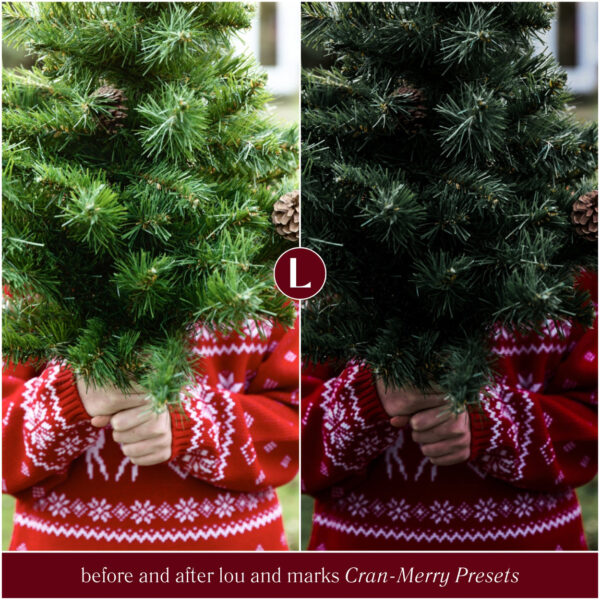 Cran-Merry Preset Collection By Primosy - Image 16