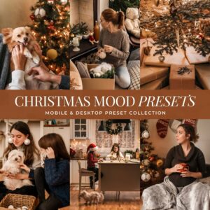 Christmas Mood Preset Collection By Primosy