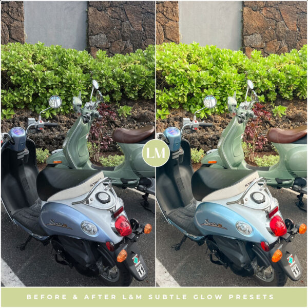Subtle Glow Preset Collection By Primosy - Image 9