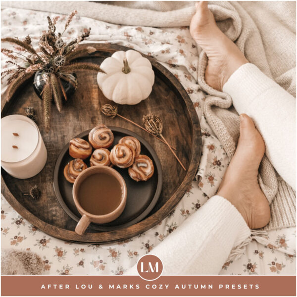Cozy Autumn Preset Collection By Primosy - Image 10