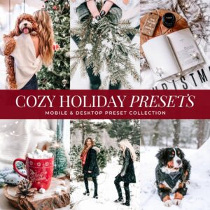 Cozy Holiday Christmas Preset Collection By Primosy