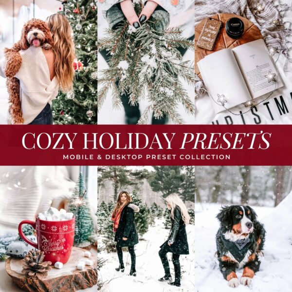 Winter Preset Bundle By Primosy - Image 3