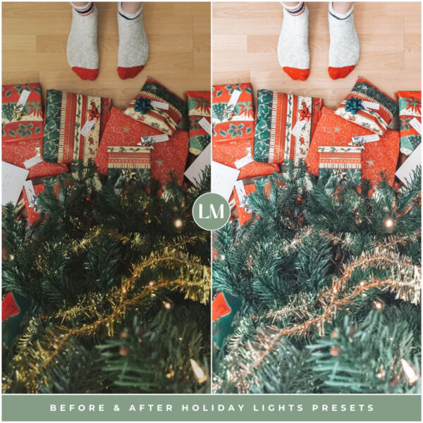 Holiday Lights Preset Collection By Primosy - Image 16