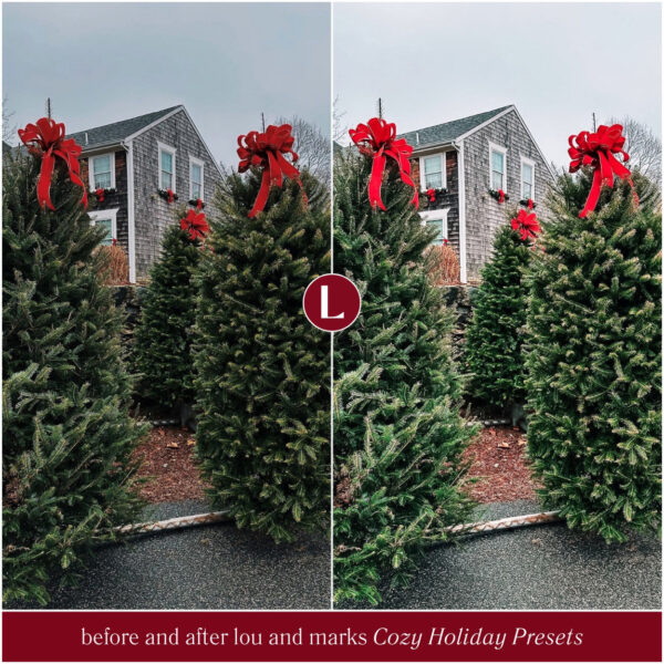 Cozy Holiday Christmas Preset Collection By Primosy - Image 15