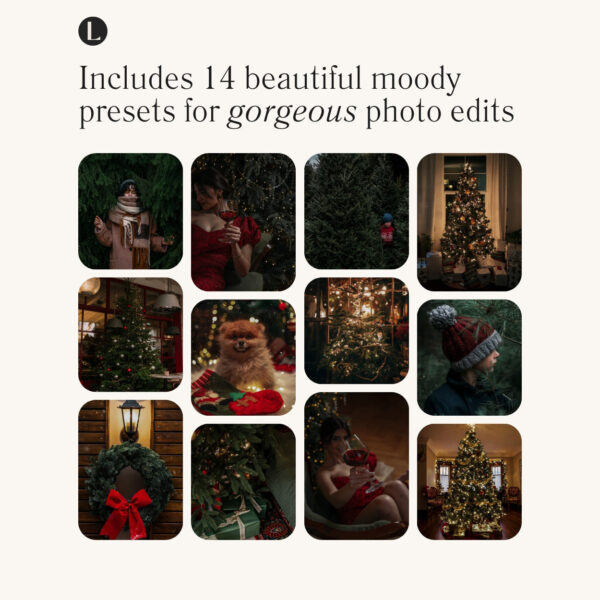 Cran-Merry Preset Collection By Primosy - Image 9